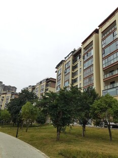 小区住宅楼周边绿化景观