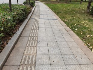 城市中整洁的石板人行道