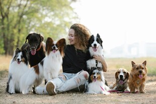 女子与多只萌犬温馨相伴