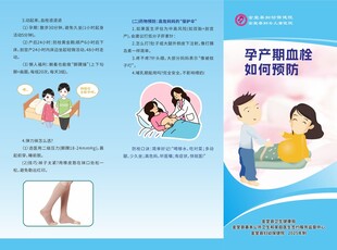 孕产妇健康科普宣传页