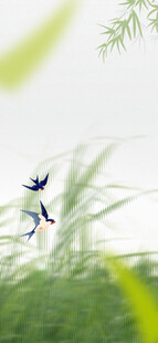 清明节