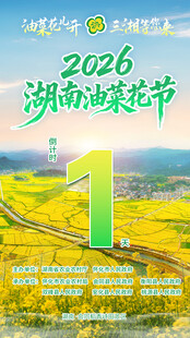 2026湖南油菜花节宣传图