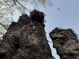 奇特嶙峋的自然岩石景观