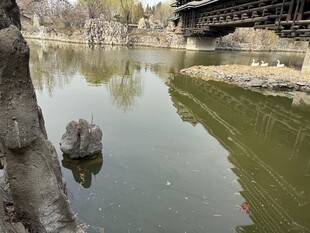 湖畔石桥下的静谧水域