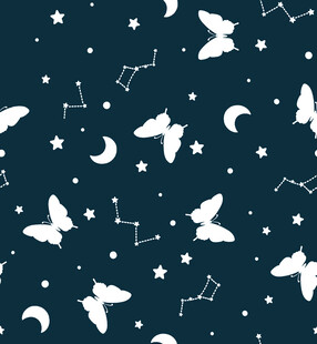 星空蝴蝶梦幻图案背景