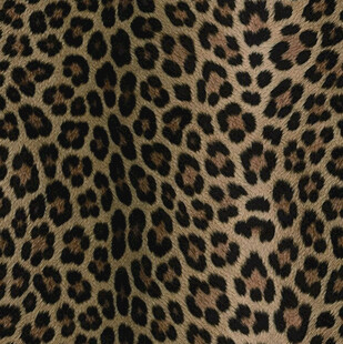 豹纹图案布料纹理