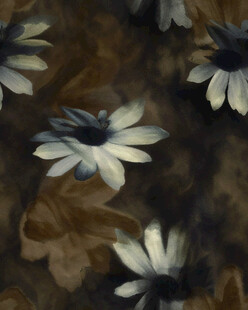 棕色底白色雏菊印花面料