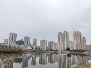 湖畔高楼倒影城市风景