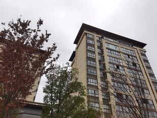 高层住宅楼外观景观