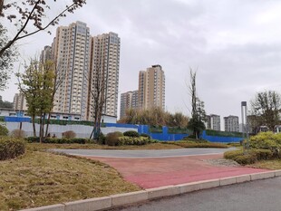 城市中色彩鲜艳的道路景观