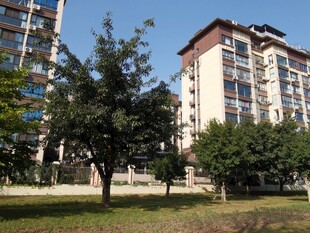 小区内的住宅与绿化景观