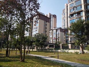 现代小区的宜人绿化景观