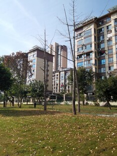 小区绿化与高层住宅景观