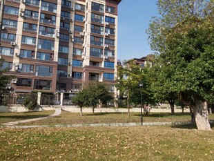 现代高层住宅旁的绿地景观