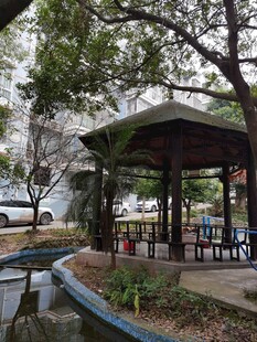 公园中的休闲凉亭景观