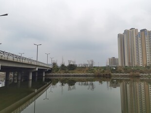 城市河畔桥梁风景
