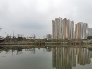 湖畔高楼倒影风景如画