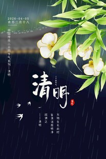 清明时节雨景 白花伴绿叶