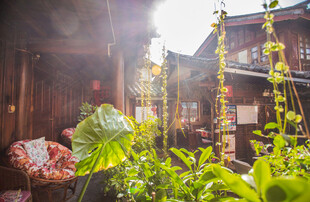 古巷晨光中的绿植与建筑
