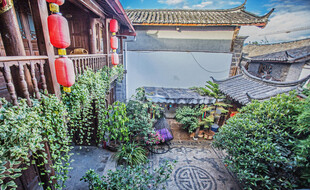 中式庭院绿植环绕景致