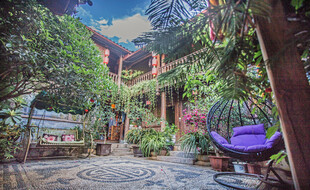 庭院绿植环绕的休闲空间