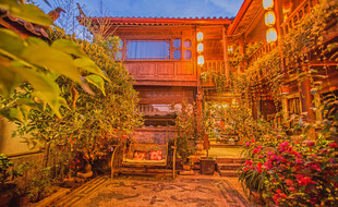 温馨庭院绿植环绕景致美