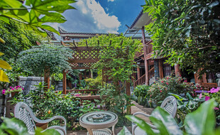 美丽庭院绿植景观