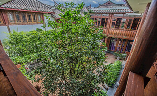 中式庭院绿植环绕景致