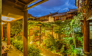 庭院夜景 绿植环绕的静谧处