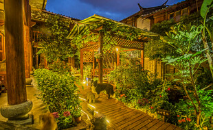 中式庭院夜景 静谧美好