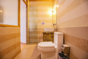 简约木质风卫生间场景