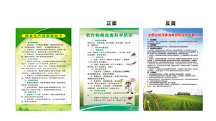 农作物水稻防控粮食生产明白卡