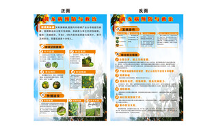 柑橘黄龙病预防与防控