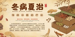 冬病夏治养生药材展示