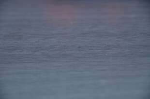 模糊的灰蓝色木纹背景特写