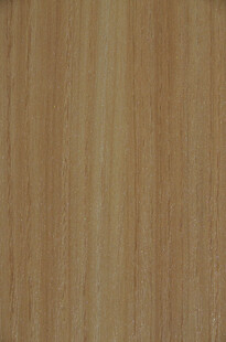 浅棕色木纹纹理图案