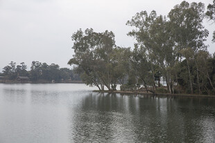 宁静湖畔风景