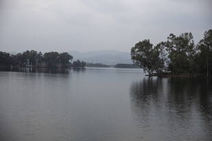 宁静湖畔风光