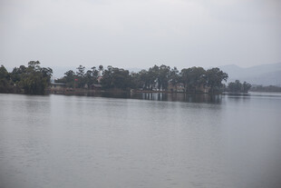 雾中湖畔景色