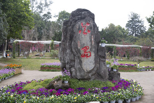 花岛花园中的刻字景观石