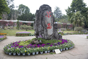花岛园林景观中的花卉与刻字石