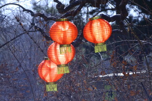 红灯笼 