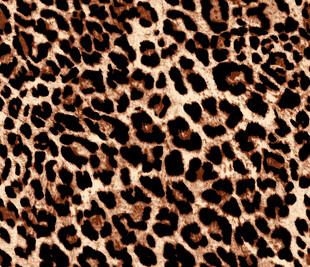 豹纹图案纹理