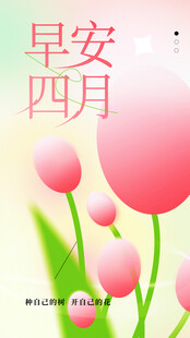 早安四月粉色郁金香插画