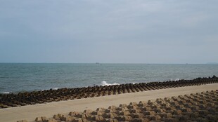 海边防波设施沙滩景象