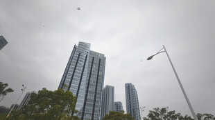 城市高楼与空中飞鸟景观