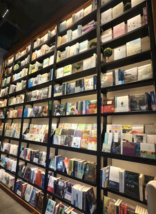 满墙书架的静谧阅读空间