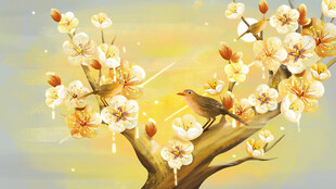 枝头绽放的绚烂杏花