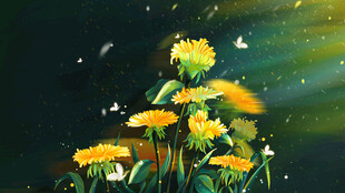 夜中绽放的灿烂黄色花朵