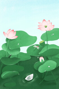 夏日荷塘荷花绽放